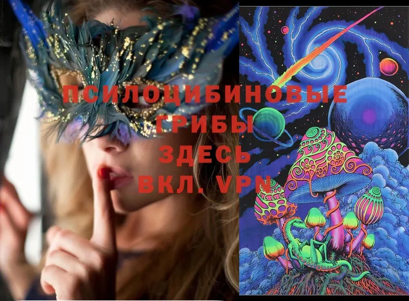 Псилоцибиновые грибы Cubensis  как найти   Полярный 